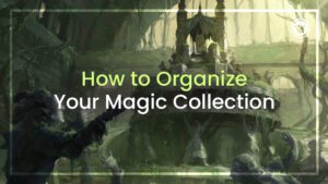 How to Organize Your Magic Collection