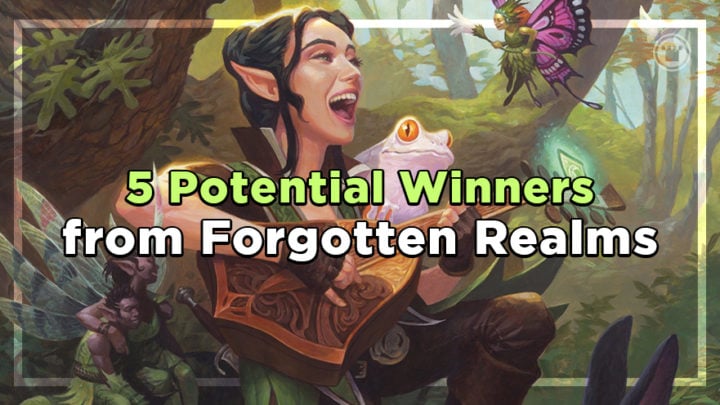 5 Potential Winners from Forgotten Realms