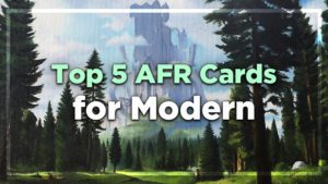 Top 5 AFR Cards for Modern