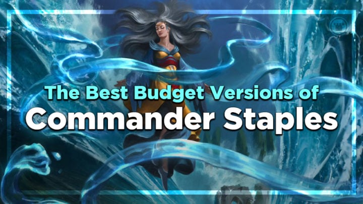 The Best Budget Versions of Commander Staples