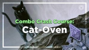 Combo Crash Course Cat Oven