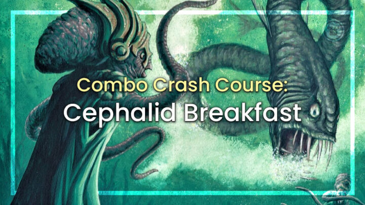 Combo Crash Course: Cephalid Breakfast