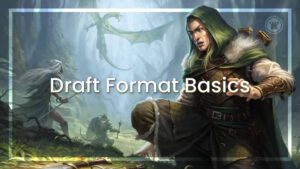 Draft Format basics