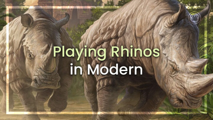 Playing Rhinos in Modern