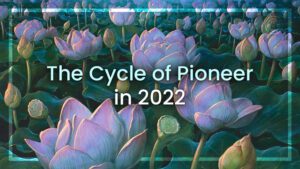 The Cycle of Pioneer in 2022
