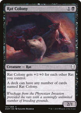 Rat Colony