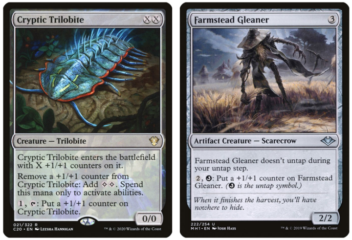 Cryptic Trilobite | Farmstead Gleaner