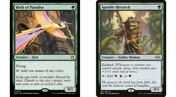 Birds of Paradise | Ignoble Hierarch