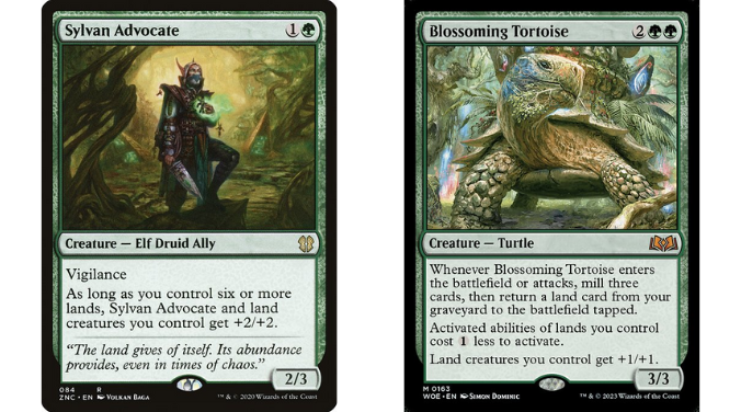 Sylvan Advocate | Blossoming Tortoise