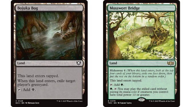 Bojuka Bog | Mosswort Bridge