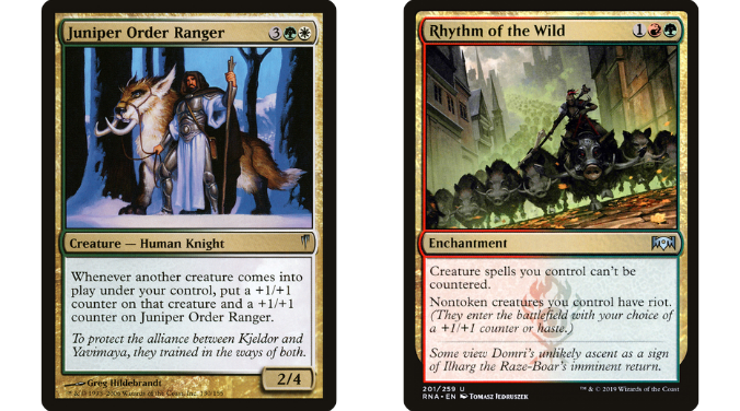 Juniper Order Ranger | Rhythm of the Wild