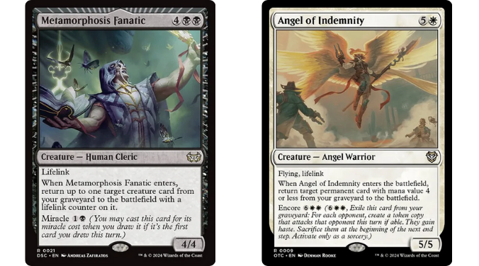 Metamorphosis Fanatic | Angel of Indemnity