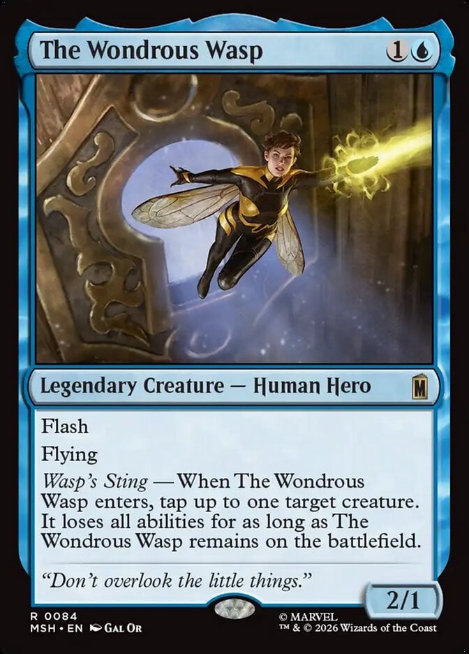 The Wonderous Wasp