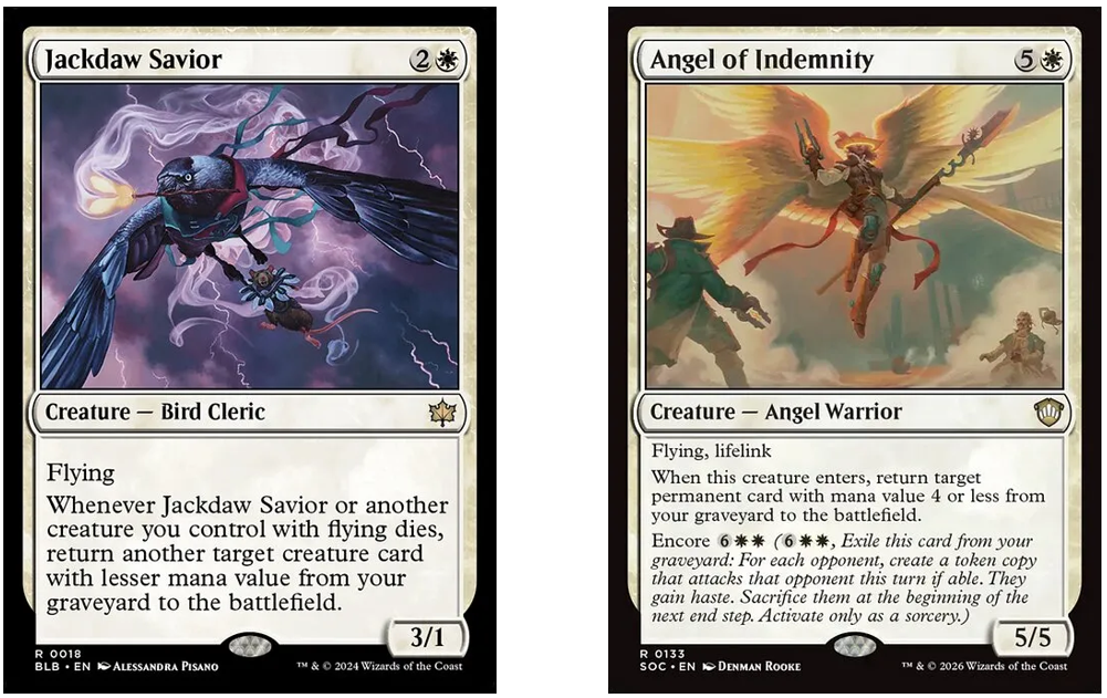 Jackdaw Savior | Angel of Indemnity